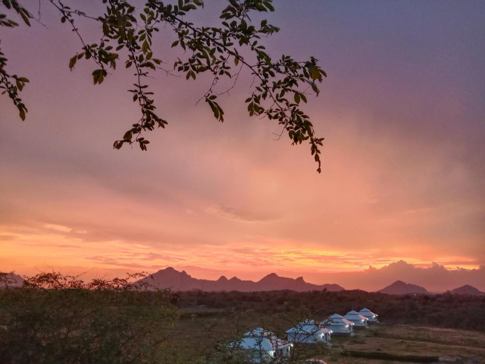 The Bagheera Bagh Jawai Hotel Bera Exterior foto